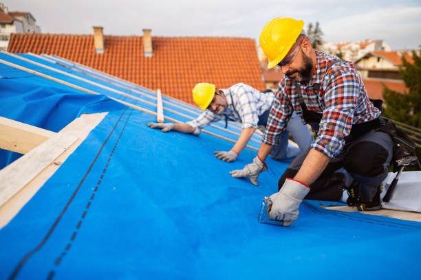 Best Roof Gutter Cleaning  in Tiffin, IA