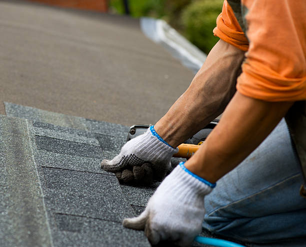 Best Local Roofing Companies  in Tiffin, IA